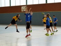 170125 Handball2-web