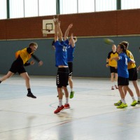 170125 Handball2-web