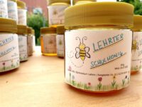 20 bienen1w