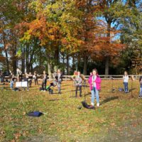 Musik im Park-4-3-w