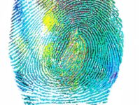 fingerprint-328992_1280